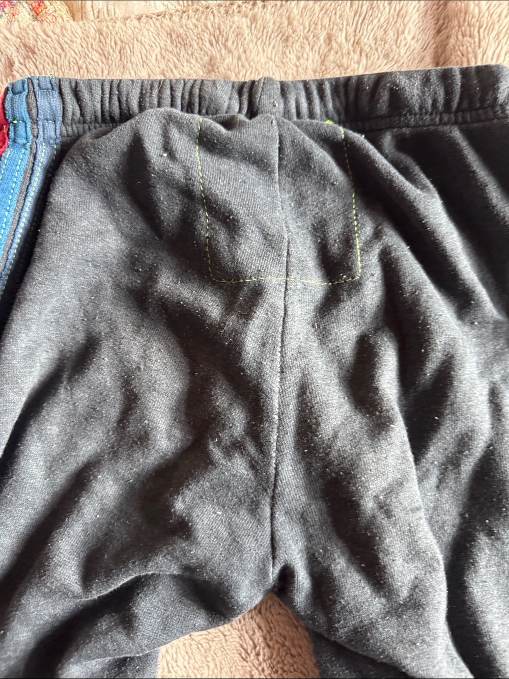 Aviator Nation Dark Gray Sweatshirt with Yellow Accent - Picture 3 of 5
